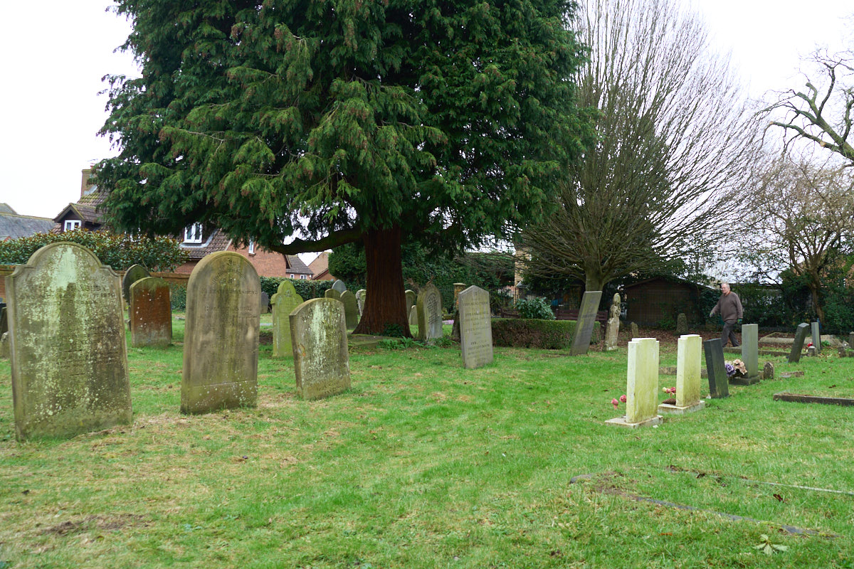 2024 02 graveyard 03