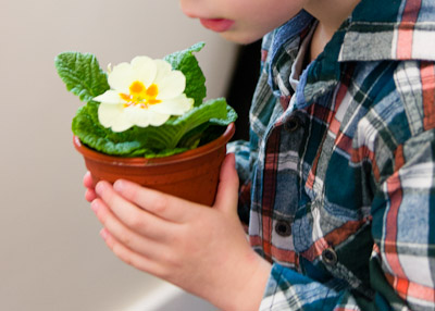 Long Buckby Baptist Church - Mothering Sunday